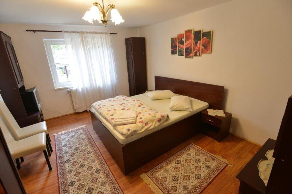 Casa Georgeta Guest House Bran  Luaran gambar