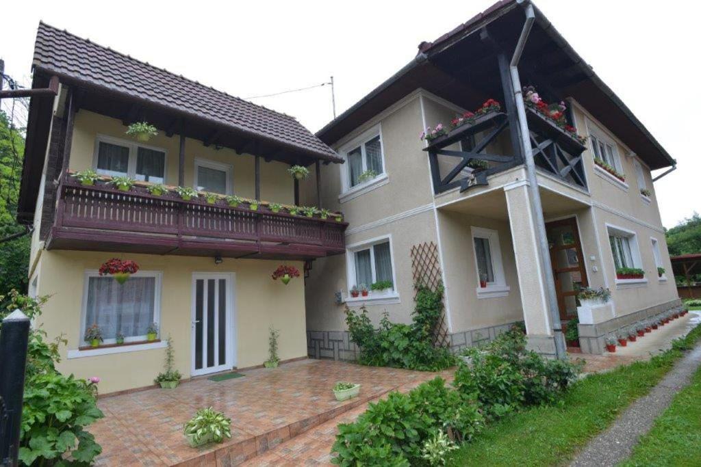 Casa Georgeta Guest House Bran  Luaran gambar