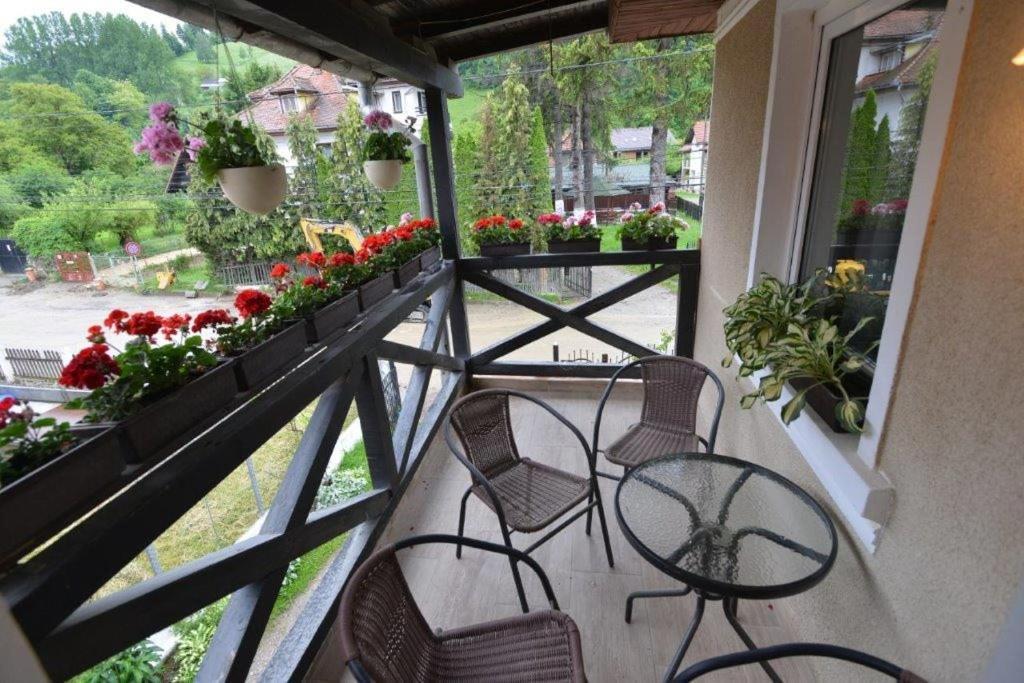 Casa Georgeta Guest House Bran  Luaran gambar