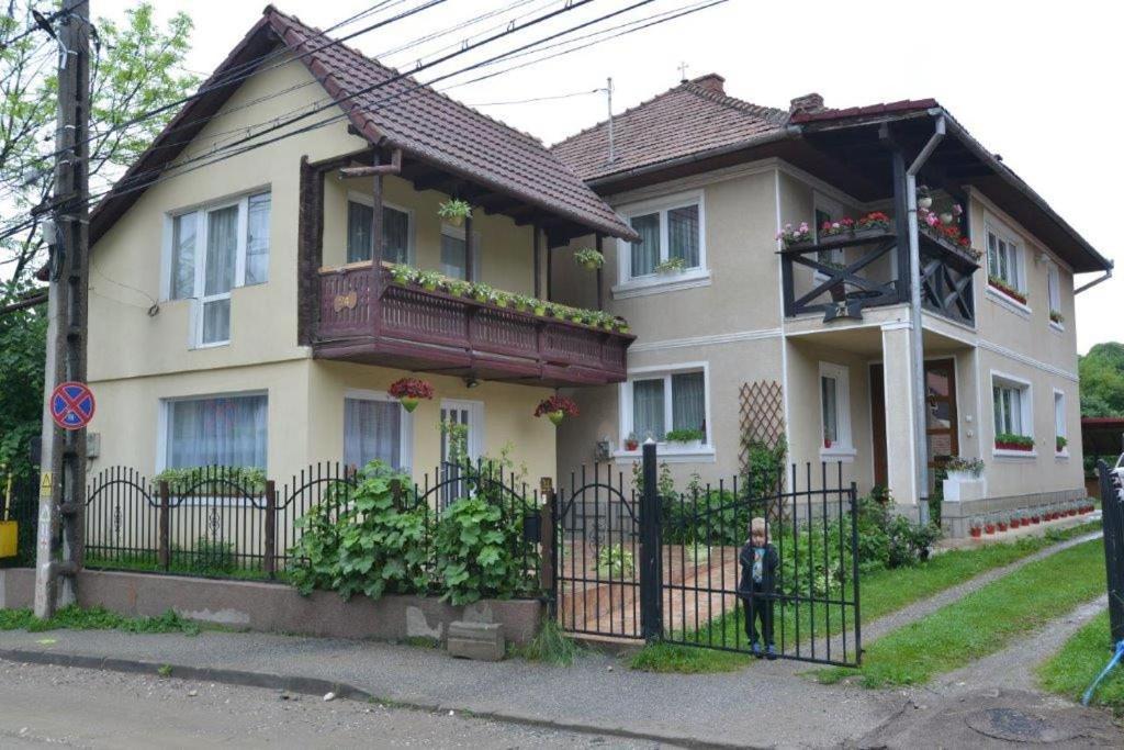 Casa Georgeta Guest House Bran  Luaran gambar